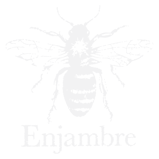 Enjambre Studio