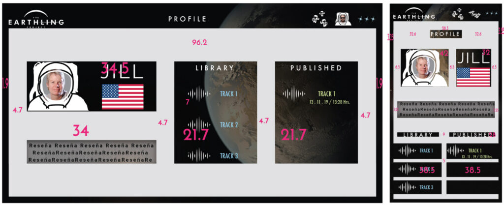 Earthrise-Project-ux-ui-3